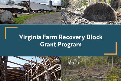 Block Grant para sa Pag-recover ng Sakahan ng Virginia: Available ang Pondo ng Tulong para sa mga Magsasaka at May-ari ng Troso sa Virginia na Apektado ng Bagyong Helene na may 4 na larawan ng nasirang troso, kamalig, istruktura, at dayami