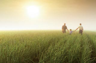 Larawan ng aplikator ng pestisidyo