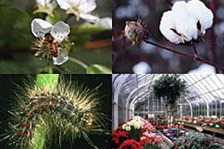 Mga Serbisyo sa Halaman at Industriya